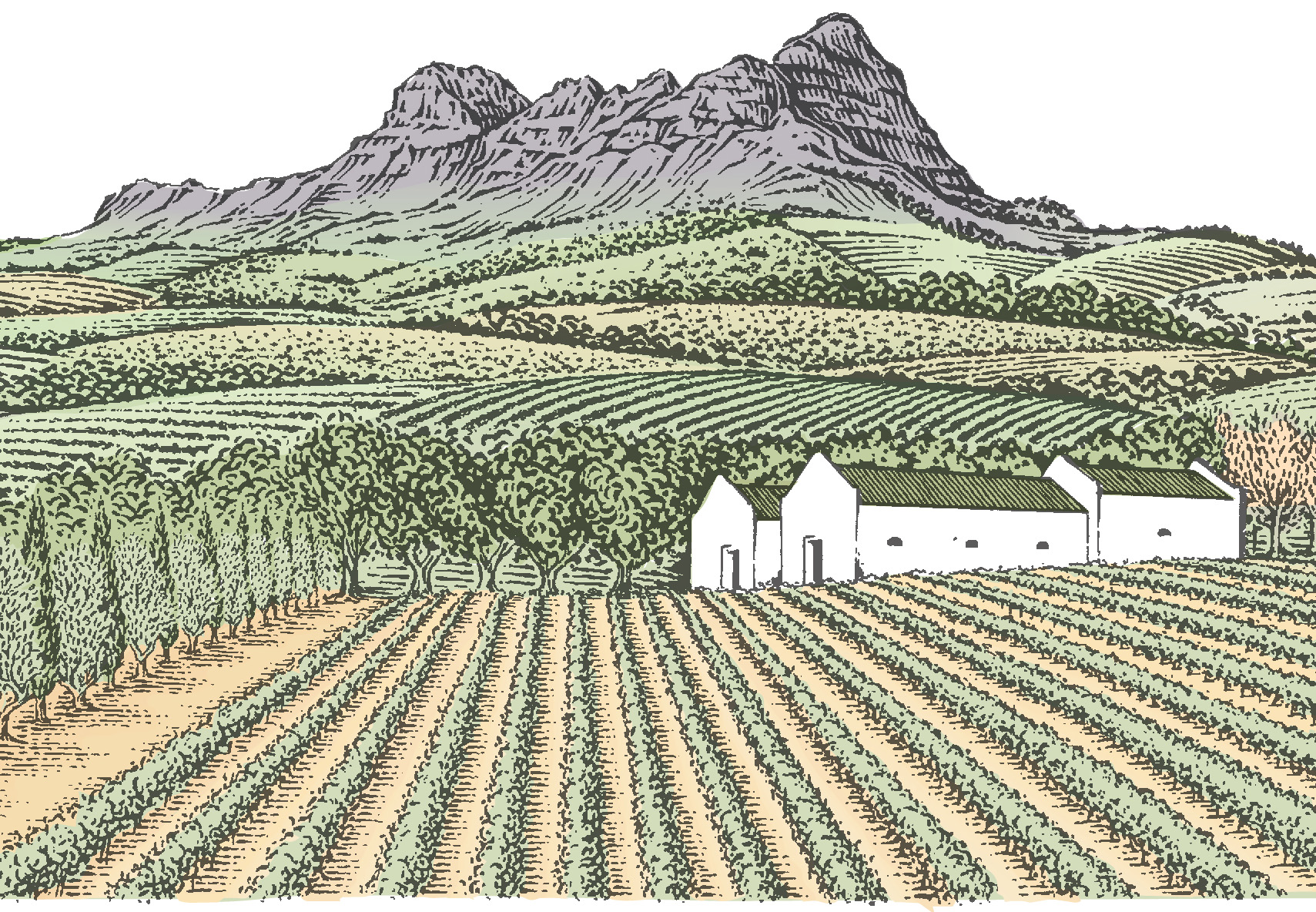 Contact Yonder Hill Wines About 15 kilometers from Stellenbosch, on