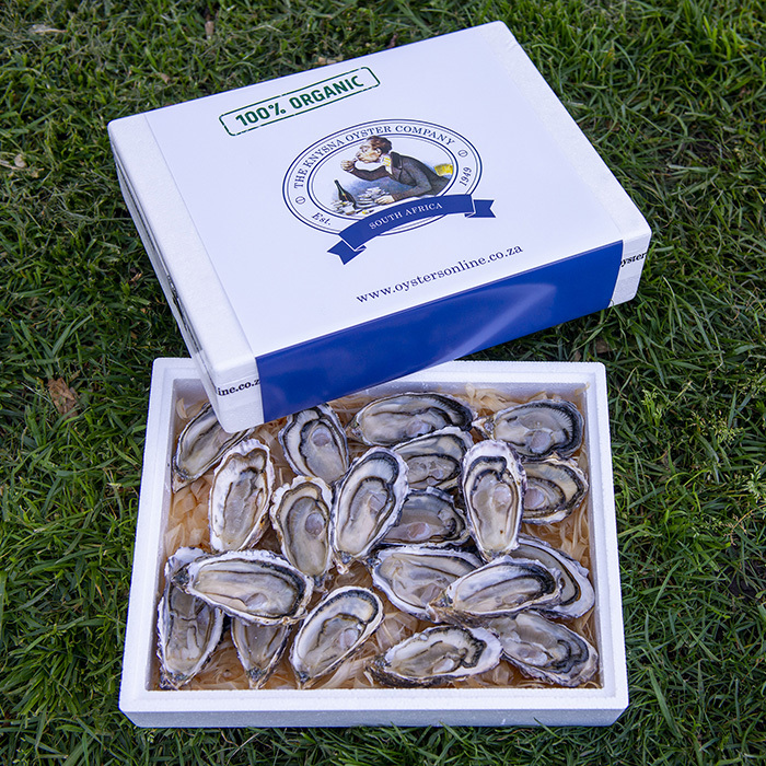 Fresh Shucked Oysters Oysters Online Sizes & Prices Cocktail 4049g